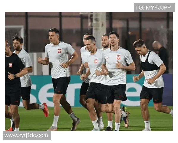 2017年世预赛丹麦对阵波兰精彩回顾与赛后分析